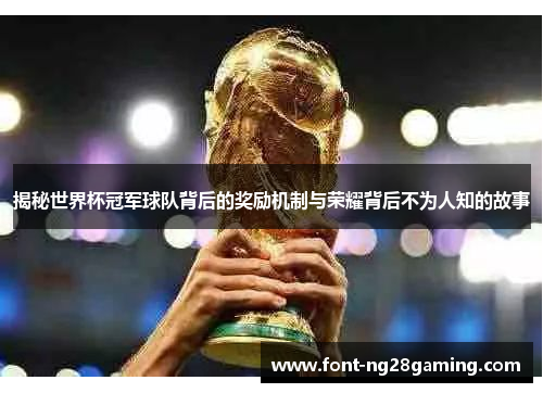 揭秘世界杯冠军球队背后的奖励机制与荣耀背后不为人知的故事