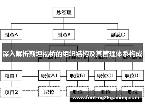 深入解析斯坦福桥的组织结构及其管理体系构成