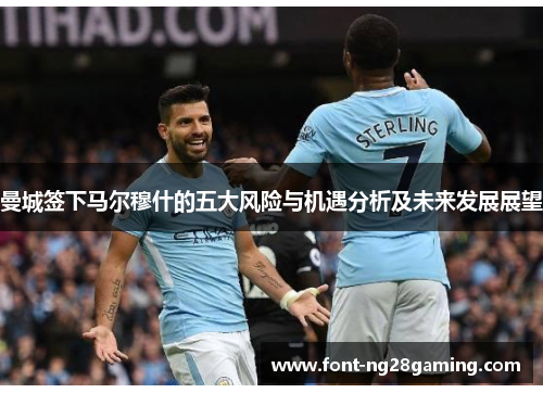 曼城签下马尔穆什的五大风险与机遇分析及未来发展展望